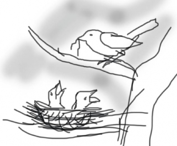 Creation of Feeding: Step 1